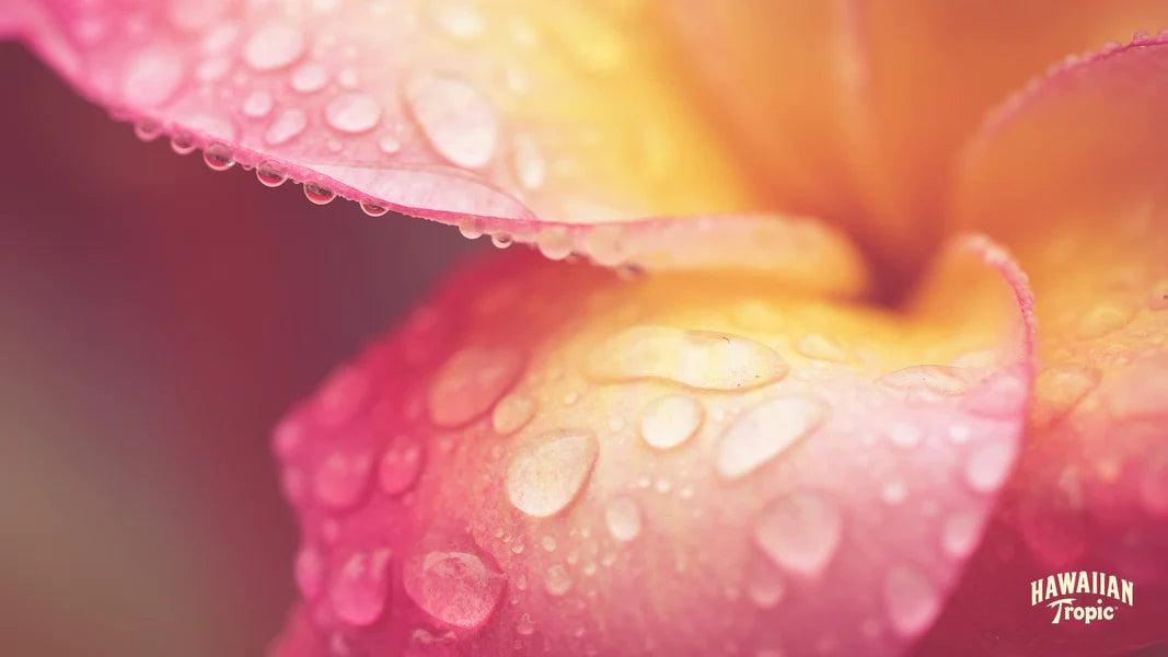 Download hydration desktop image