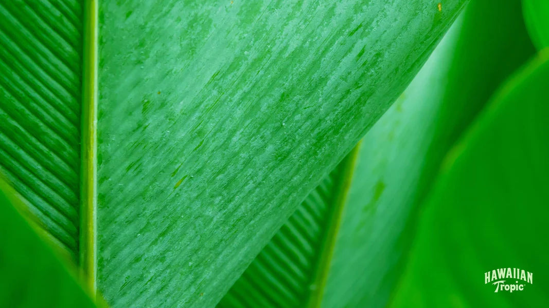 Download care desktop image