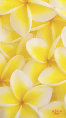 Download community mobile image