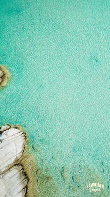 Download ocean mobile image