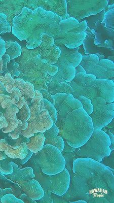 Download responsibility mobile image