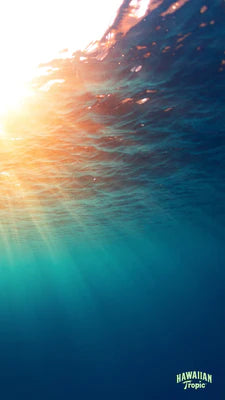 Download shine mobile image